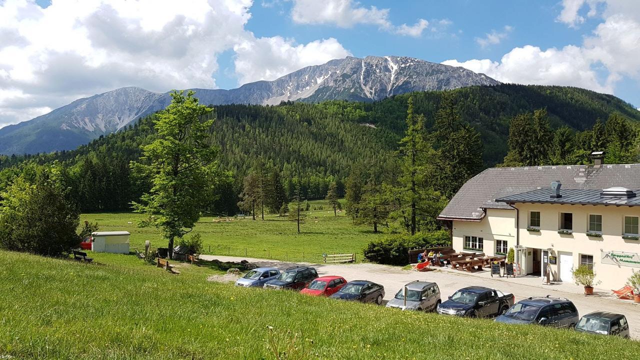 Ferienwohnungen Mamauwiese Gutenstein Exterior foto